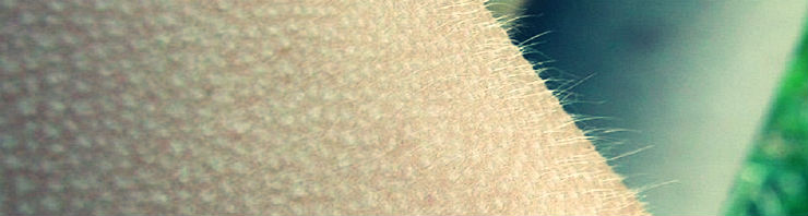 Photo La Boîte à Frissons